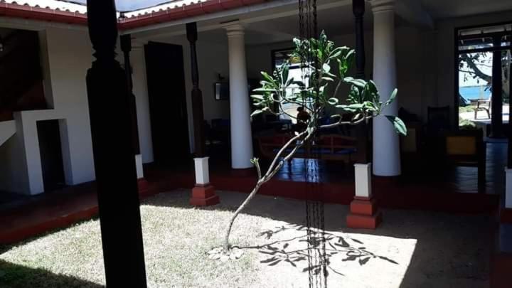 Olivia Bungalow Wattala Exterior photo